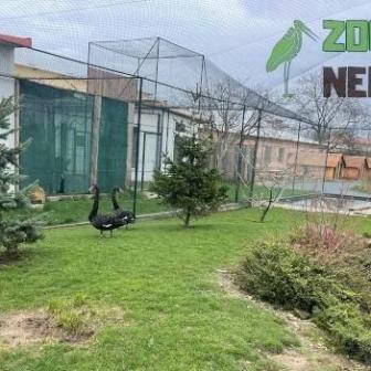 Zoo park Nehvizdy